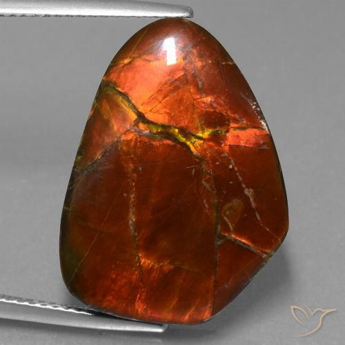 15.2 ct Fancy Ammolite, 22.8 x 16.7 mm From Canada, Photo A