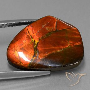 15.20 ct Multicolor Ammolite Stone, Natural Ammolite in Fancy Cabochon Shape for Sale