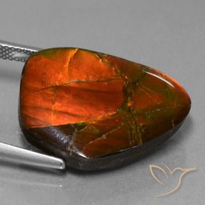 Ammolite Gemstone in 22.8 x 16.7 mm Size for Sale, Ammolite Stone in Multicolor Color
