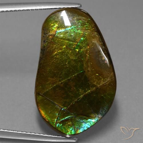 17.83ct Natural Multicolor Ammolite, Fancy, Opaque