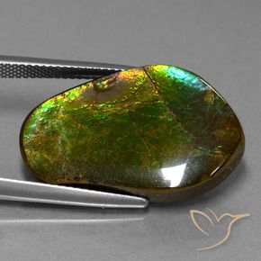 17.83 ct Multicolor Ammolite Stone, Natural Ammolite in Fancy Cabochon Shape for Sale