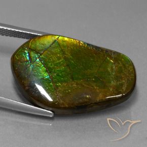 Ammolite Gemstone in 26.2 x 16.7 mm Size for Sale, Ammolite Stone in Multicolor Color