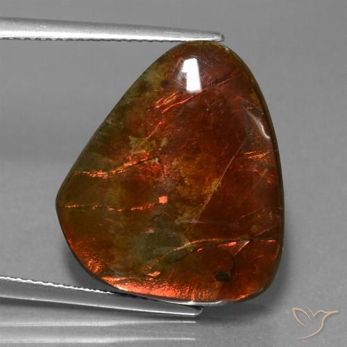 16.97 ct Fancy Ammolite, 18.5 x 21.3 mm From Canada, Photo A