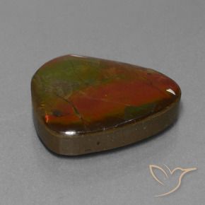 16.97 ct Multicolor Ammolite Stone, Natural Ammolite in Fancy Cabochon Shape for Sale