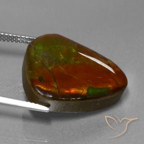 Ammolite Gemstone in 18.5 x 21.3 mm Size for Sale, Ammolite Stone in Multicolor Color