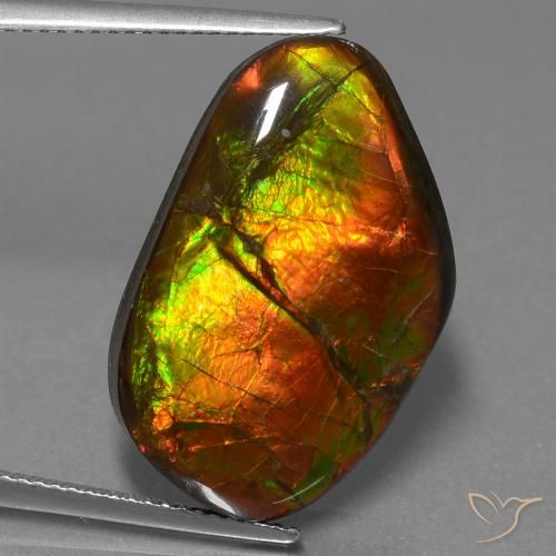 18.18 ct Fancy Ammolite, 24.2 x 15.4 mm From Canada, Photo A