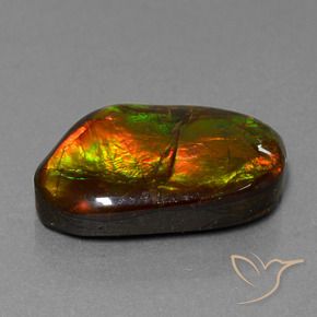 18.18 ct Multicolor Ammolite Stone, Natural Ammolite in Fancy Cabochon Shape for Sale