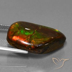 Ammolite Gemstone in 24.2 x 15.4 mm Size for Sale, Ammolite Stone in Multicolor Color