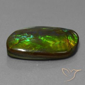 19.80 ct Multicolor Ammolite Stone, Natural Ammolite in Fancy Cabochon Shape for Sale