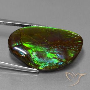 Ammolite Gemstone in 27.1 x 17.1 mm Size for Sale, Ammolite Stone in Multicolor Color