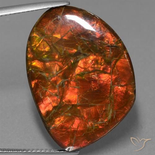 25.32 ct Fancy Ammolite, 28.1 x 20.2 mm From Canada, Photo A