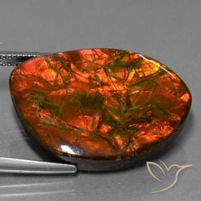 25.32 ct Multicolor Ammolite Stone, Natural Ammolite in Fancy Cabochon Shape for Sale