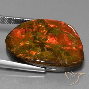 Ammolite Gemstone in 27 x 20 mm (calibrated) Size for Sale, Ammolite Stone in Multicolor Color