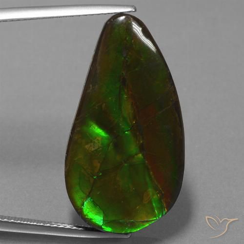 18.29ct Natural Multicolor Ammolite, Fancy, Opaque