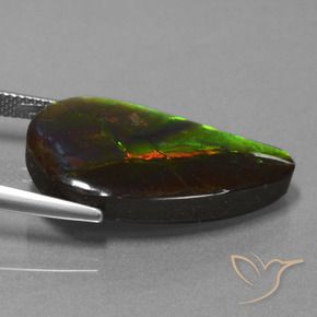 Ammolite Gemstone in 28.8 x 15.4 mm Size for Sale, Ammolite Stone in Multicolor Color