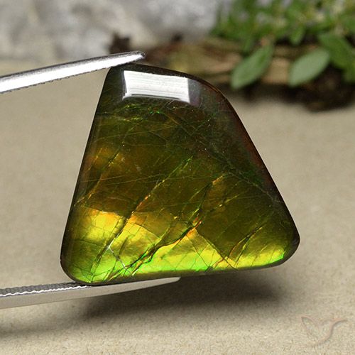 18.57ct Natural Multicolor Ammolite, Fancy, Opaque