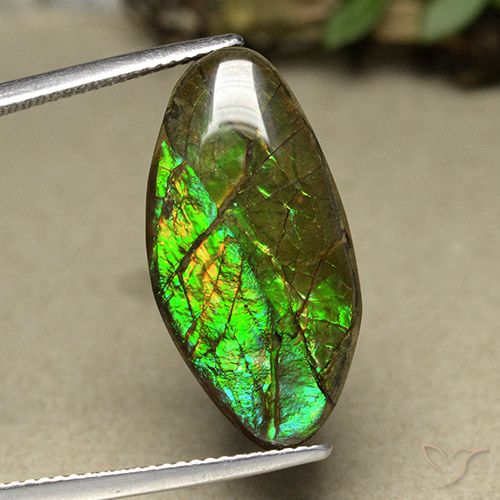 Ammolite Multicolore fancy cabochon 12,62 ct du Canada, dimension 24,2x12,2 mm, pierre gemme naturelle assemblé, pureté Opaque , 1 pièce Ammolite de couleur Multicolore, dureté Mohs de 4 à 4, Photo A