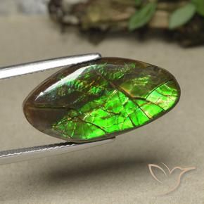 12.62 ct Multicolor Ammolite Stone, Natural Ammolite in Fancy Cabochon Shape for Sale