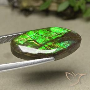 Ammolite Gemstone in 24.2 x 12.2 mm Size for Sale, Ammolite Stone in Multicolor Color