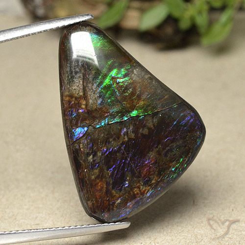 21.94ct Natural Multicolor Ammolite, Fancy, Opaque