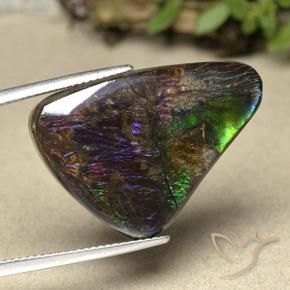 21.94 ct Multicolor Ammolite Stone, Natural Ammolite in Shark Fin Cabochon Shape for Sale