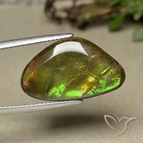 11.44 ct Multicolor Ammolite Stone, Natural Ammolite in Shark Fin Cabochon Shape for Sale