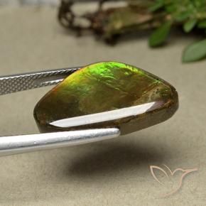 Ammolite Gemstone in 22.1 x 13.4 mm Size for Sale, Ammolite Stone in Multicolor Color