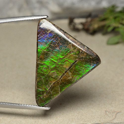 20.55 ct Trillion Ammolite, 29.5 x 21.5 mm From Canada, Photo A
