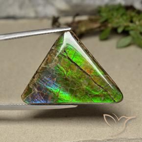 20.55 ct Multicolor Ammolite Stone, Natural Ammolite in Trillion Cabochon Shape for Sale