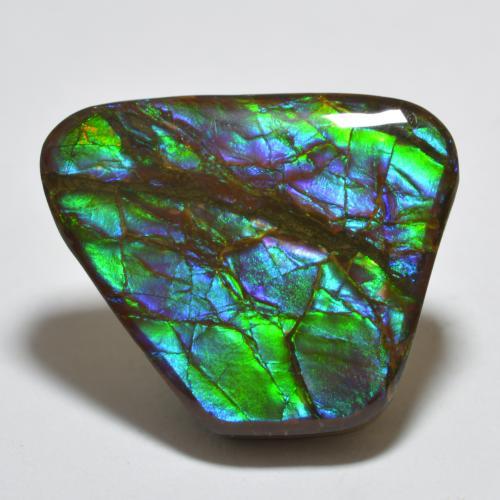 18.85 ct Multicolor Ammolite Stone, Natural Ammolite in Fancy Cabochon Shape for Sale