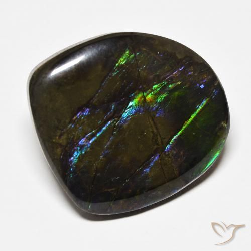 22.71 ct Multicolor Ammolite Stone, Natural Ammolite in Fancy Cabochon Shape for Sale