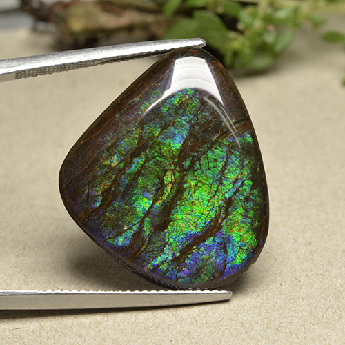 Mehrfarbig Ammolith Edelstein - 21.1ct Ausgefallener Cabochon (ID: 494097)