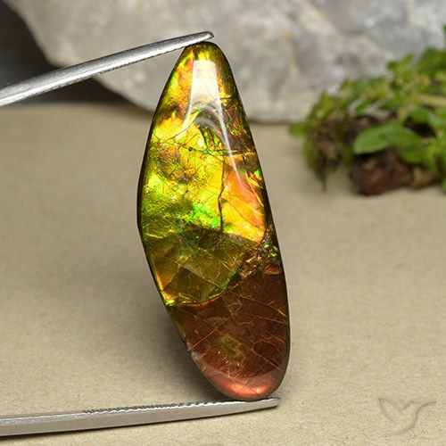 22.66ct Natural Multicolor Ammolite, Fancy, Opaque
