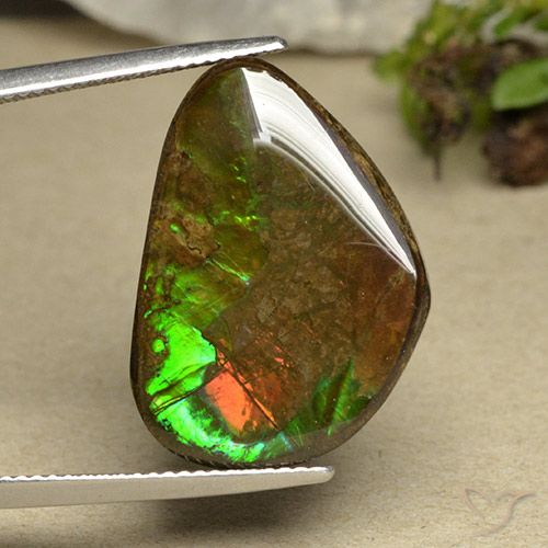 14.98ct Natural Multicolor Ammolite, Fancy, Opaque