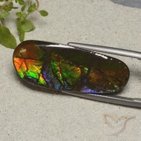 19.11 ct Multicolor Ammolite Stone, Natural Ammolite in Fancy Cabochon Shape for Sale
