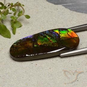 Ammolite Gemstone in 34.2 x 13.4 mm Size for Sale, Ammolite Stone in Multicolor Color