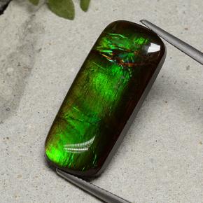 18.74 ct Multicolor Ammolite Gemstone, Ammolite Gem in Cushion Cabochon Shape for Sale.