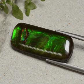 18.74 ct Multicolor Ammolite Stone, Natural Ammolite in Cushion Cabochon Shape for Sale