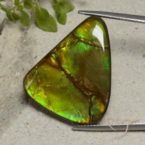 22.87 ct Multicolor Ammolite Stone, Natural Ammolite in Shark Fin Cabochon Shape for Sale