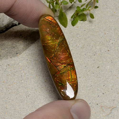 Multicolor Ammolite Gem - 18.3ct Oval Cabochon (ID: 494104)