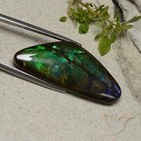 22.28 ct Multicolor Ammolite Stone, Natural Ammolite in Shark Fin Cabochon Shape for Sale