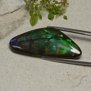 Ammolite Gemstone in 37.9 x 15.5 mm Size for Sale, Ammolite Stone in Multicolor Color