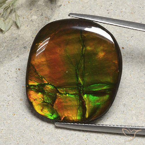 21.57ct Natural Multicolor Ammolite, Cushion, Opaque