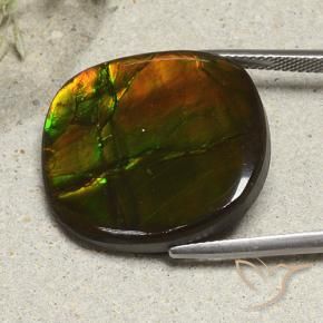 Ammolite Gemstone in 24 x 21.7 mm Size for Sale, Ammolite Stone in Multicolor Color