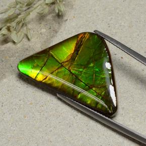 16.82 ct Multicolor Ammolite Gemstone, Ammolite Gem in Shark Fin Cabochon Shape for Sale.