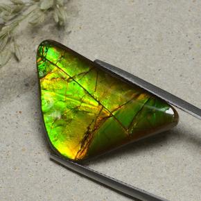 16.82 ct Multicolor Ammolite Stone, Natural Ammolite in Shark Fin Cabochon Shape for Sale