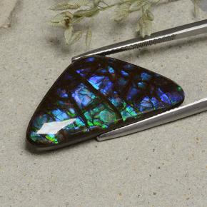 19.94 ct Multicolor Ammolite Stone, Natural Ammolite in Shark Fin Cabochon Shape for Sale