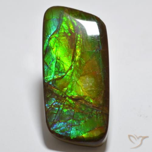 23.54ct Fancy Multicolor Ammolite from Canada, Dimension 35 x 14.8mm,  Natural assembled Gemstone, Opaque Clarity, 1pc Fancy Cabochon Ammolite,  Mohs Hardness of 4