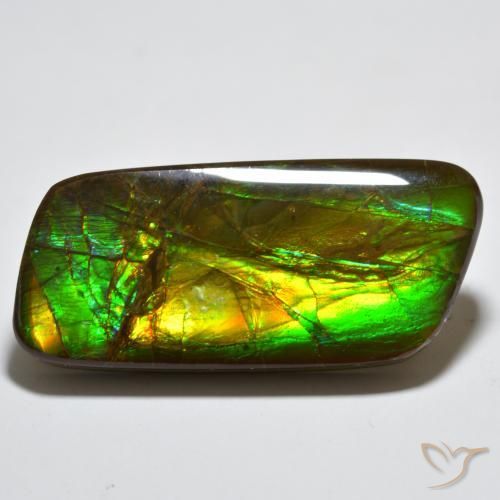 23.38 ct Multicolor Ammolite Stone, Natural Ammolite in Fancy Cabochon Shape for Sale