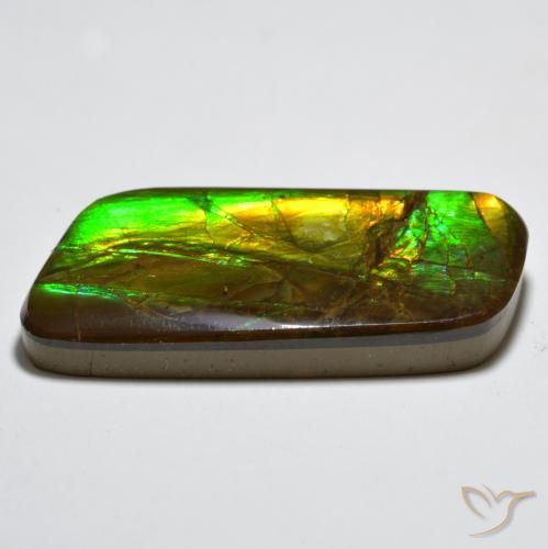 Ammolite Gemstone in 33.7 x 14.7 mm Size for Sale, Ammolite Stone in Multicolor Color